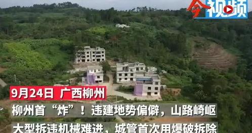 莲花县最新爆料新闻,揭秘神秘事件背后的真相 第1张 莲花县最新爆料新闻,揭秘神秘事件背后的真相 第1张