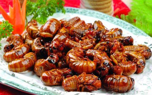 最新新康饭菜爆料图片,最新爆料图片曝光，美味与营养并存！”